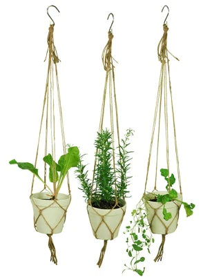 Zuperzozial Spice It Up Hanging Pot Medium White Set of 3 - anydaydirect